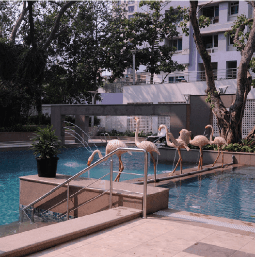 DOSTI FLAMINGOS